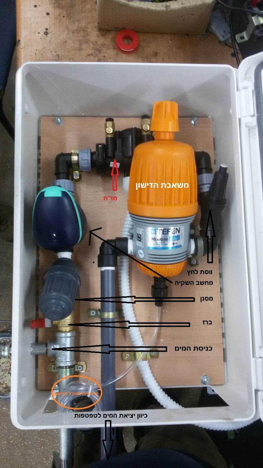 כמה עולה להקים גינה