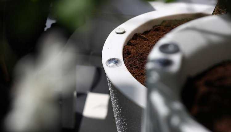 אדניות בעלות דופן כפולה